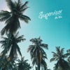 Supervisor - Single