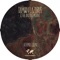 Vermillion - Damian Lazarus & The Ancient Moons & Damian Lazarus lyrics
