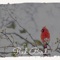 Farewell To Erin & Gravel Walk - Irish Reels - Sean McCabe lyrics