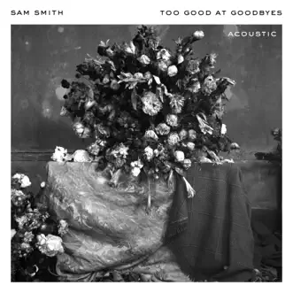 Too Good At Goodbyes (Acoustic) - Single by Sam Smith album reviews, ratings, credits