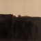 Burnt Umber & Ultramarine - Kim Oki lyrics