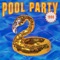 Pool Party 1998 (feat. DJ Flula) artwork