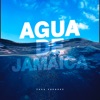 Agua de Jamaica (Remix) - Single