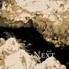 The Next Wave - Single album lyrics, reviews, download