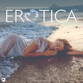 Erotica Vol 5: Most Erotic Chillout & Smooth Jazz Tunes artwork