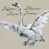 Seven Swans album lyrics, reviews, download