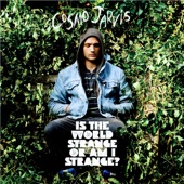 Cosmo Jarvis - Gay Pirates
