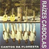 Cantos da Floresta