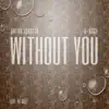 Without You (Anton Ishutin Sunshine Remix) [feat. Da Buzz] song lyrics