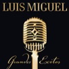 La Media Vuelta by Luis Miguel iTunes Track 1