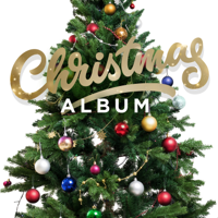 Various Artists - Christmas Album artwork
