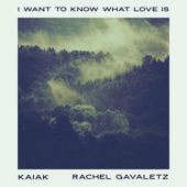 I Want To Know What Love Is (Acoustic) artwork