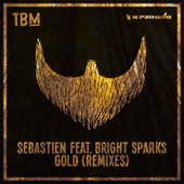 Gold (feat. Bright Sparks) [Wild Cards Remix] artwork