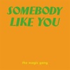 Somebody Like You - Single