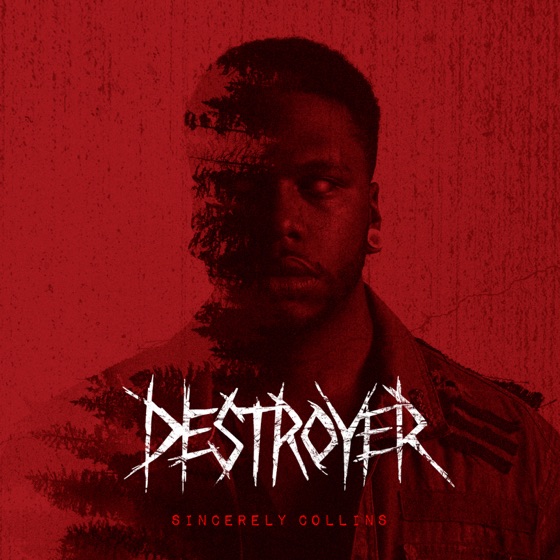 Cover artwork for Destroyer