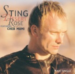 Cheb Mami & Sting - Desert Rose (Radio Edit)