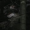 Male Alchemy - Immortal Technique