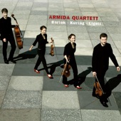 String Quartet No. 1: VIII. Subito prestissimo artwork