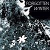 Forgotten Winter - Single