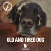 Old and Tired Dog - Single