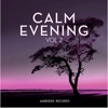 Calm Evening (Vol 2), 2019