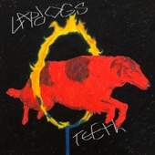 Lapdogs - 40 Hrs