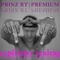 Digga (feat. Materna) - Prinz RT lyrics