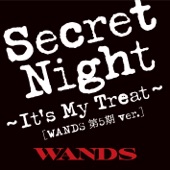 Secret Night~It's My Treat~ [WANDS 第五期 ver.] artwork