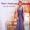 Tun Im Hayreni - Single