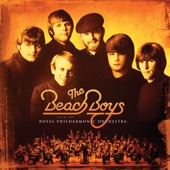 Wouldn’t It Be Nice by The Beach Boys