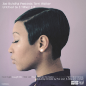 Caught Up (feat. Terri Walker) - Joe Buhdha