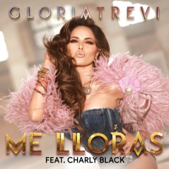Me Lloras (feat. Charly Black) - Single