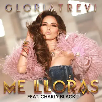 Me Lloras (feat. Charly Black) - Single by Gloria Trevi album reviews, ratings, credits