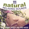Natural Relaxing Sounds – Birth Hypno-Therapy and Yoga Music song lyrics