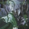 No Cap (feat. Doly Slime) - Kid Zell lyrics