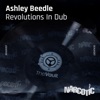 Revolutions in Dub