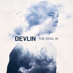 THE DEVIL IN cover art