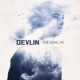 THE DEVIL IN cover art