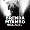 Mhlaba Wethu - Brenda Mtambo
