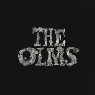 Album herunterladen The Olms - The Olms