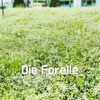 Die Forelle - Single