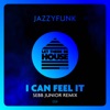 I Can Feel It - Single