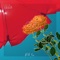 With You - John Cha & Kim Daniel lyrics