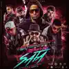 Tremenda Sata, Pt. 2 (Remix) [feat. Arcángel, Ñengo Flow, Ñejo, Lui-G 21+, Farruko, Zion & J Balvin] - Single album lyrics, reviews, download