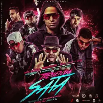 Tremenda Sata, Pt. 2 (Remix) [feat. Arcángel, Ñengo Flow, Ñejo, Lui-G 21+, Farruko, Zion & J Balvin] - Single by DJ Luian album reviews, ratings, credits