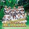 Los Pajaritos de Tacupa - El Mono Negro