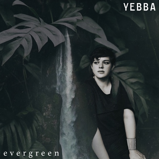 Cover artwork for Evergreen