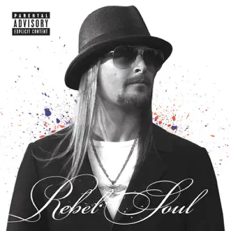 Rebel Soul by Kid Rock song reviws