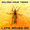 Life Moves On - Golden Hour Trees lyrics