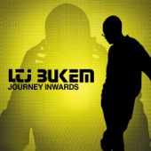 LTJ Bukem - Inner Guidance